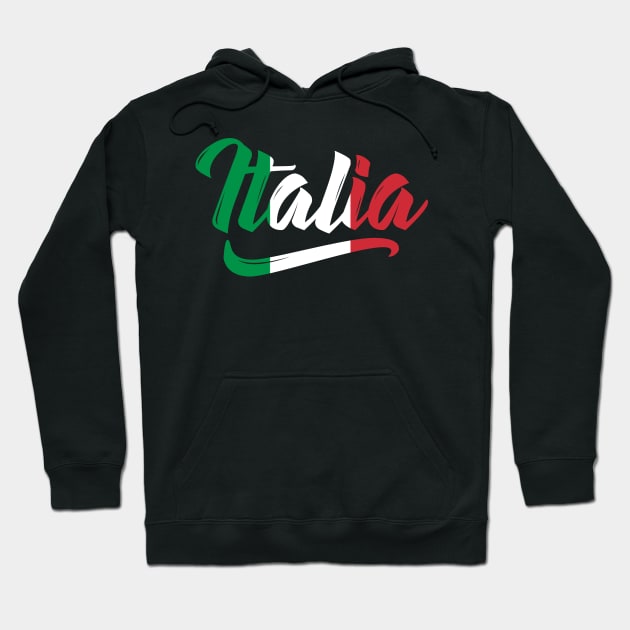 Italia Flag Script Italy Italian Family Heritage Gift Hoodie by E